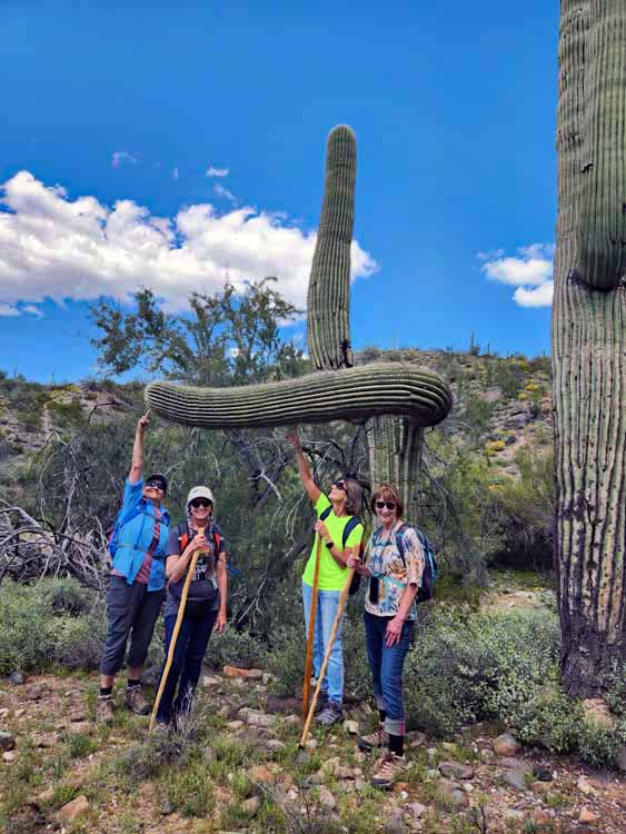 gang on hike under saguaro